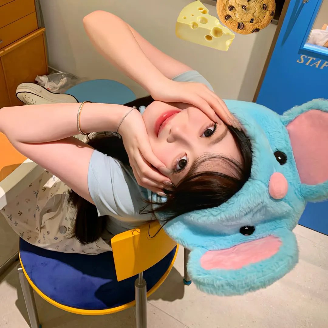 小菊的春天